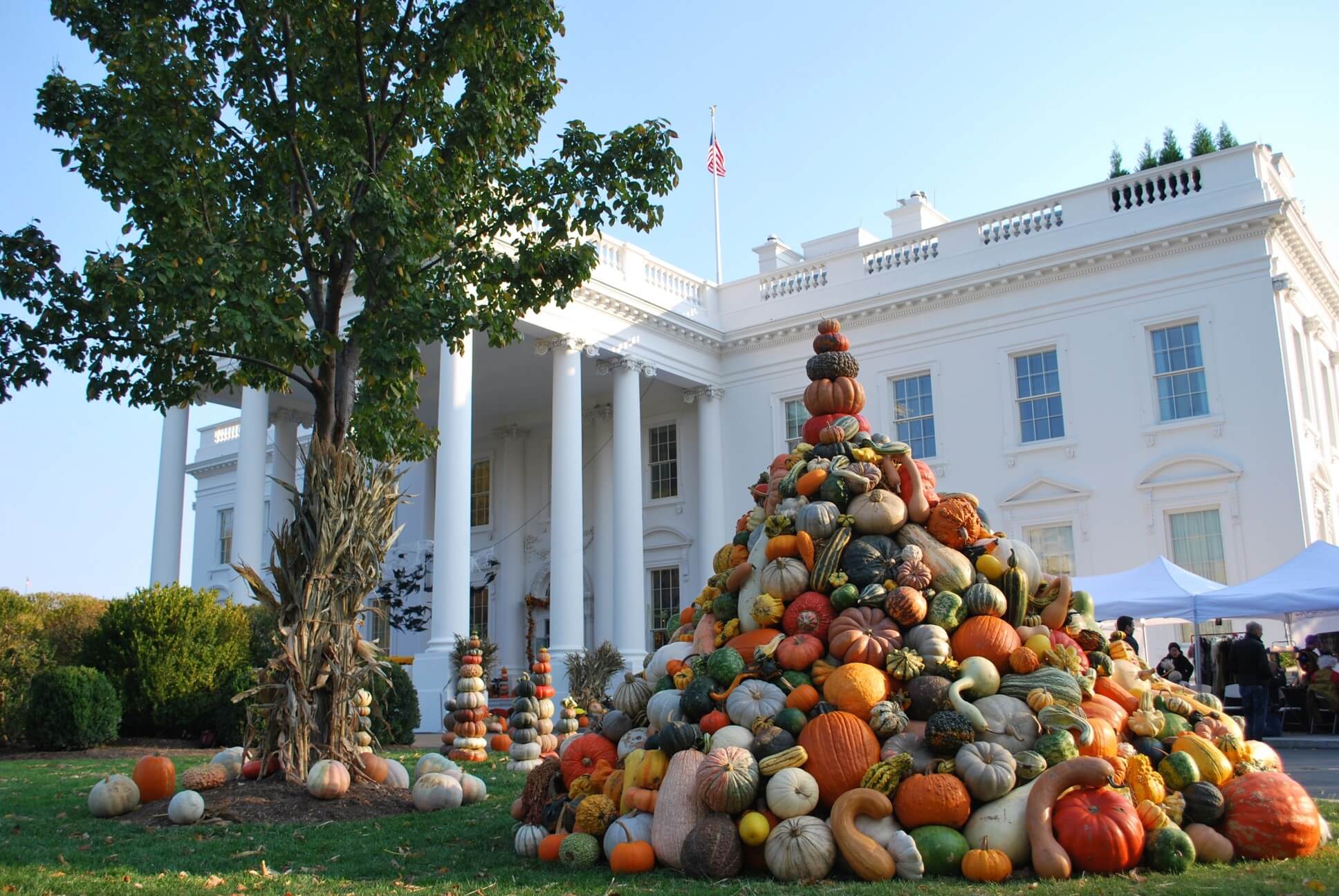 The Great Pumpkin Patch - Arthur, Illinois - Branding - The White House