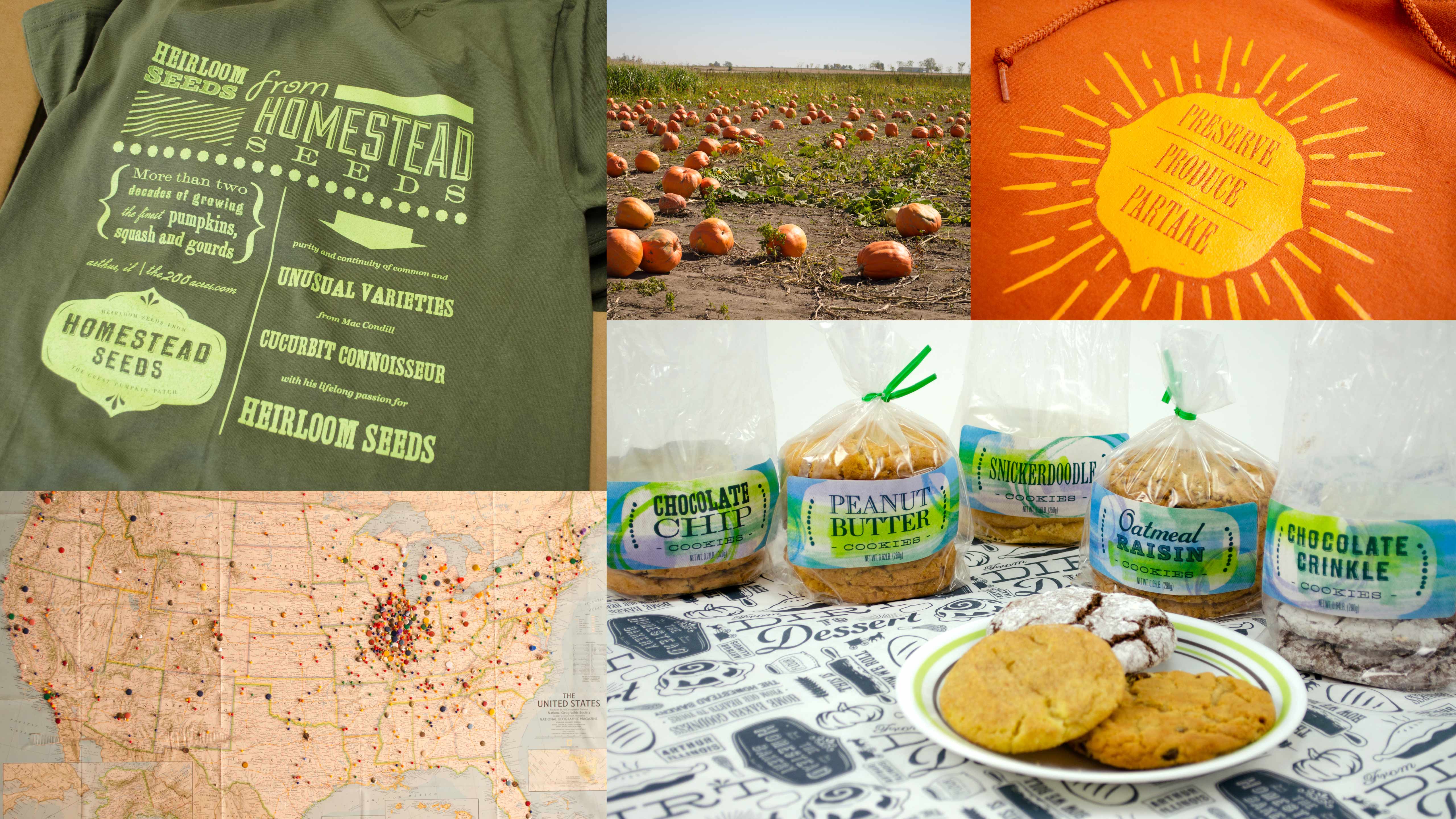 The Great Pumpkin Patch - Arthur, Illinois - Branding